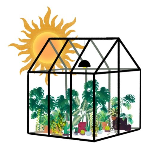 Vegetable Greenhouse