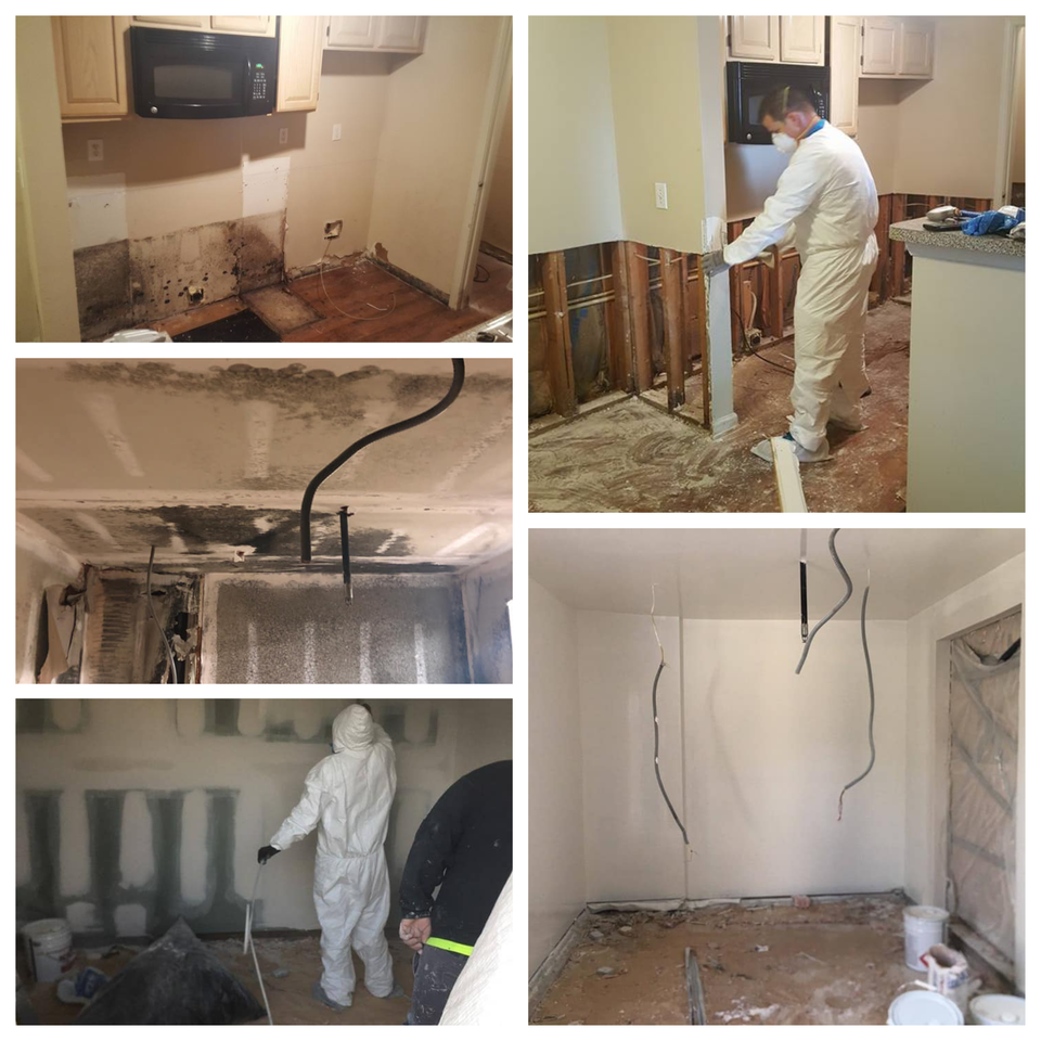 Mold remediation