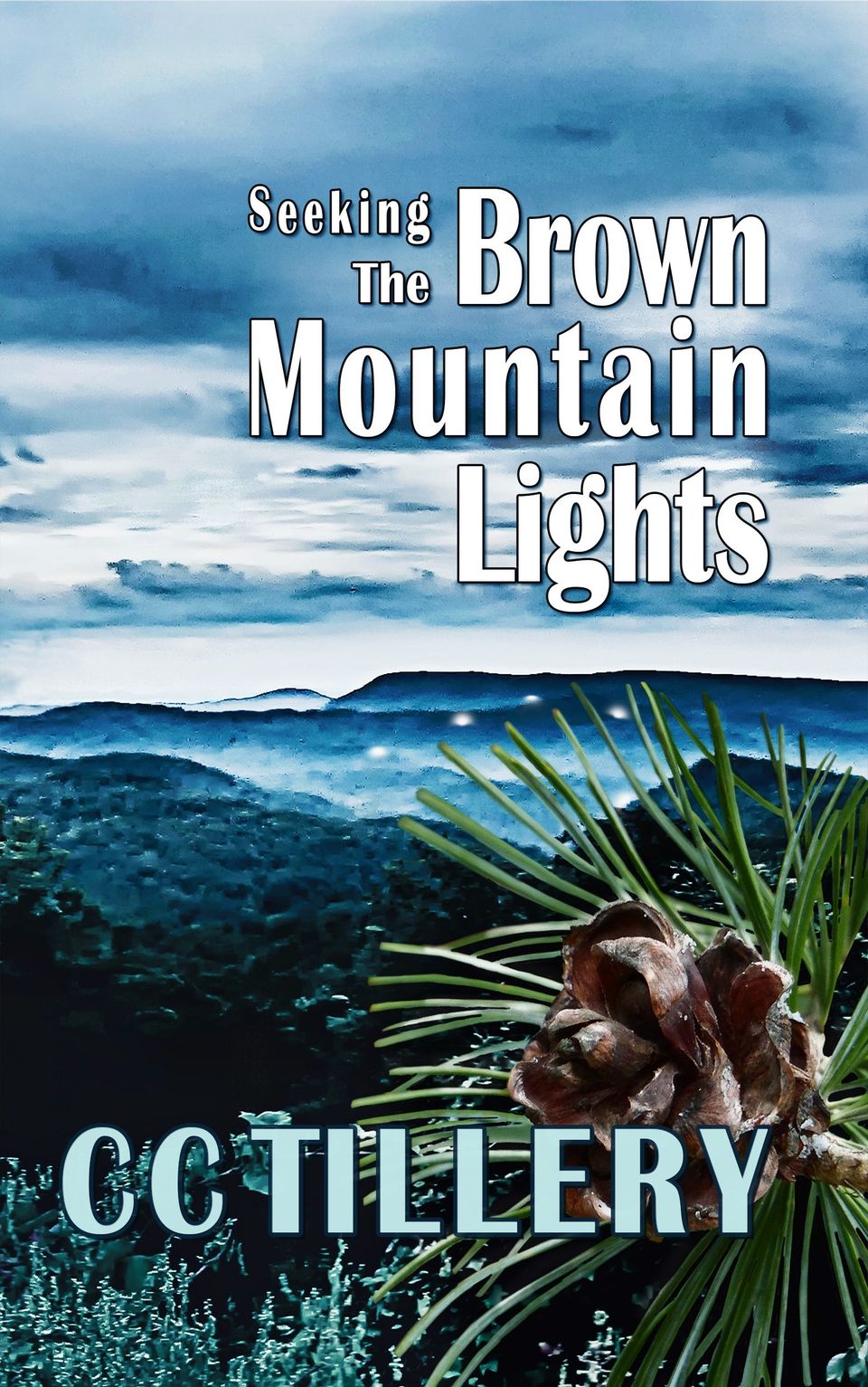 Brown mountain lights seeking large