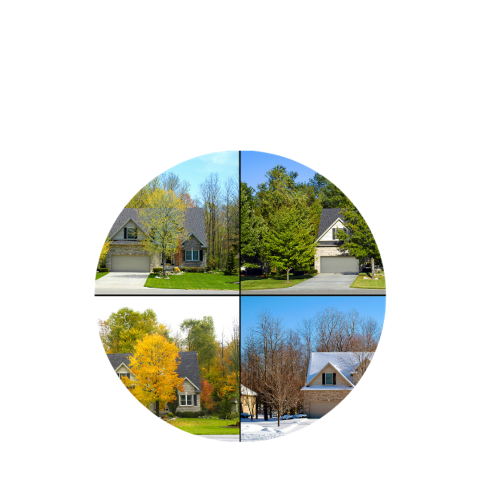 All Seasons call Lanser Pest Solutions