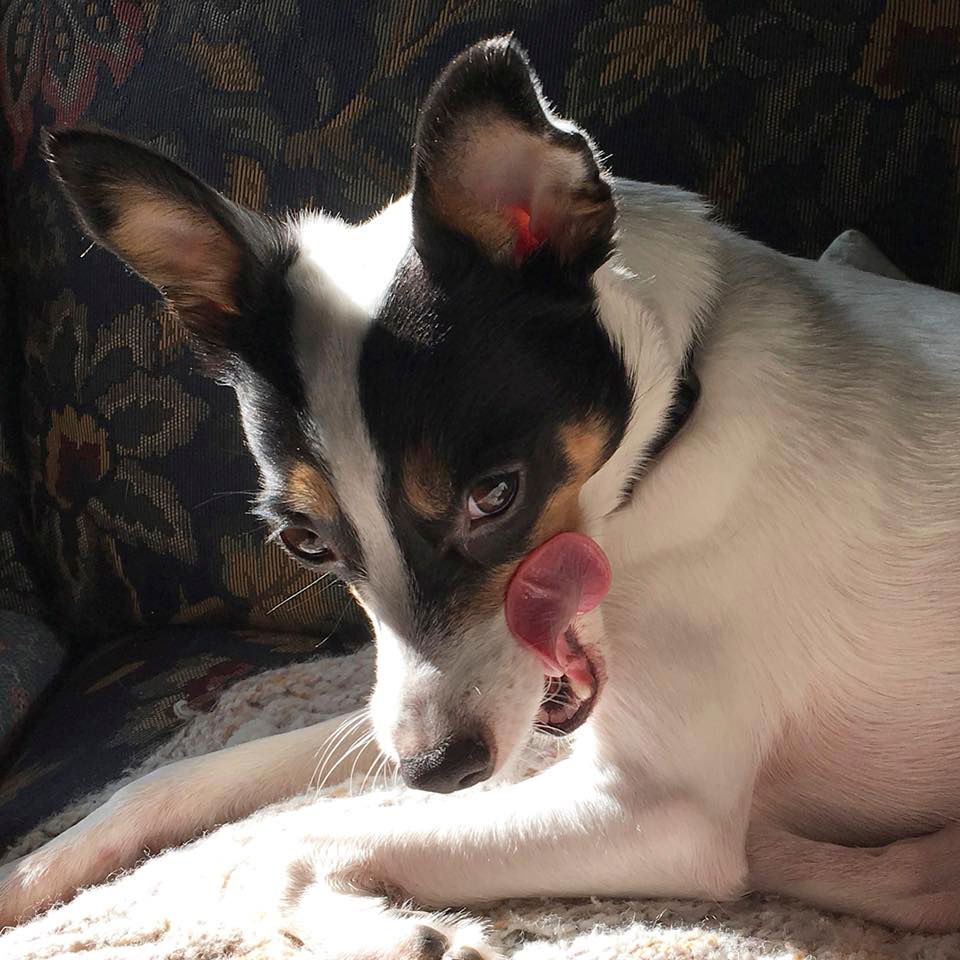 Spike