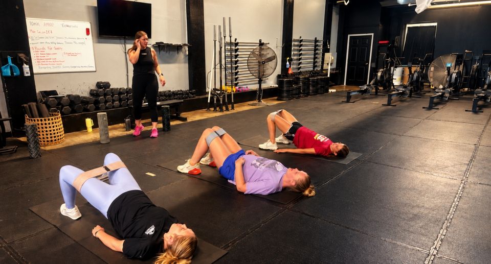 Next level training website (2)