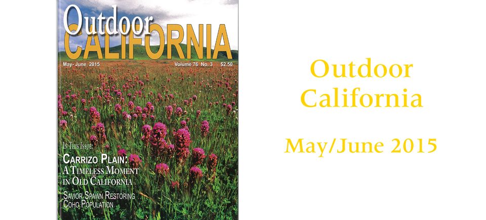Outdoor california 201520150915 30637 krkk51