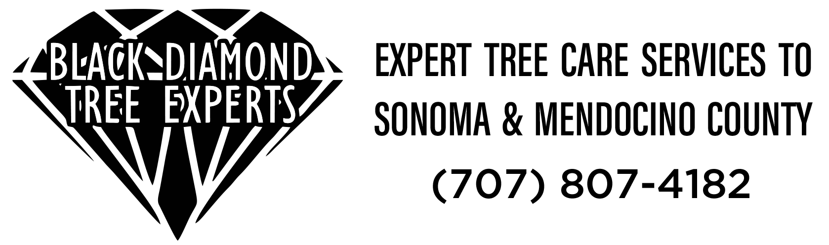 Black Diamond Tree Experts