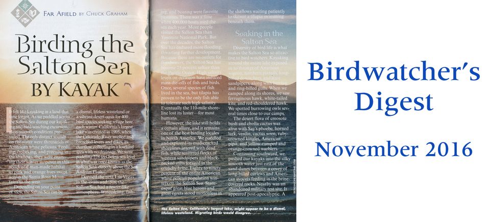 Birdwatchers digest 2016 website 220161128 32464 1pg6a7n