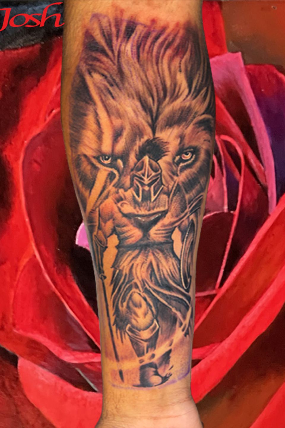 486cd07b 1107 4bb7 84e8 976b1f151258 copy