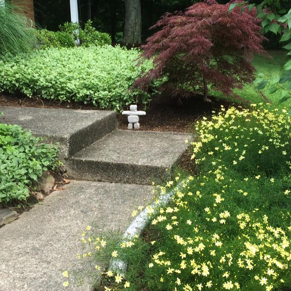 Natale landscape steps