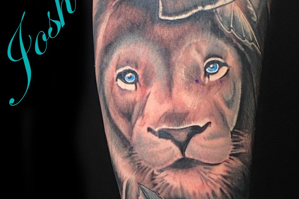 Josh lion rose