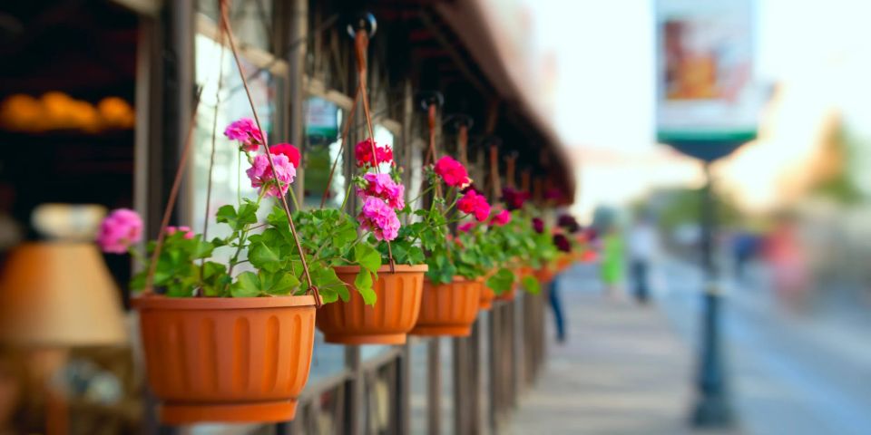 downtown hanging flower planters