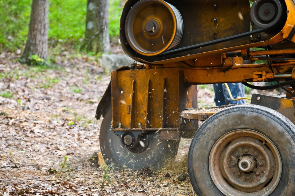 Stump grinding 1