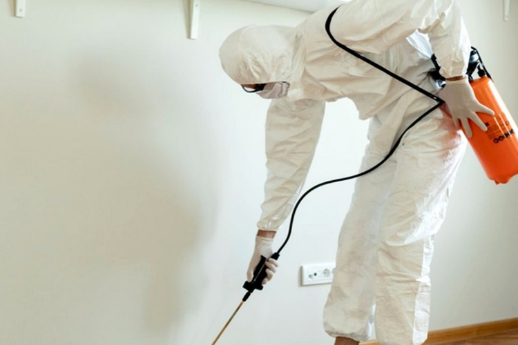  General Pest Control - Man Spraying Poison