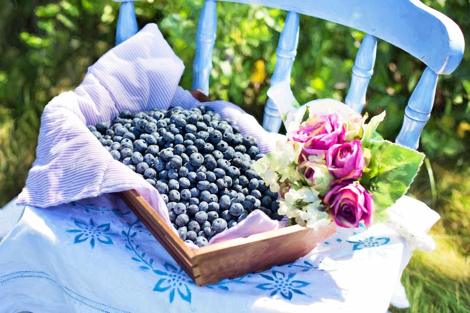 Blueberries g9ae8cc3d1 1920