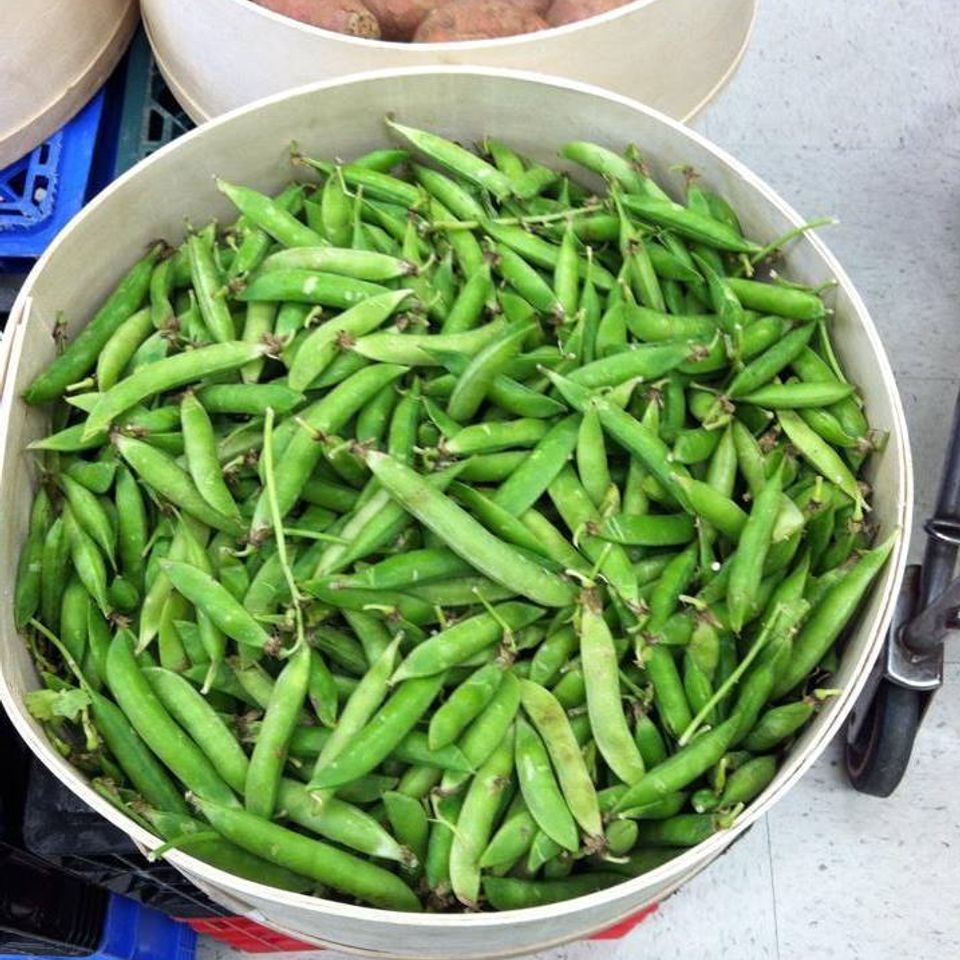 Kings veggie 520170522 13940 2hlemq