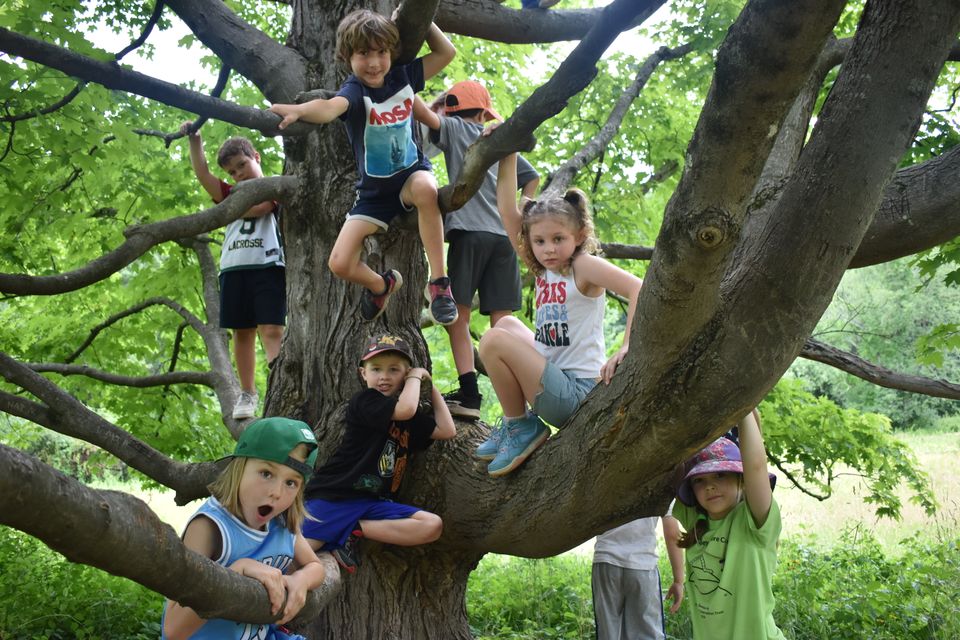 Tom denney nature camp3