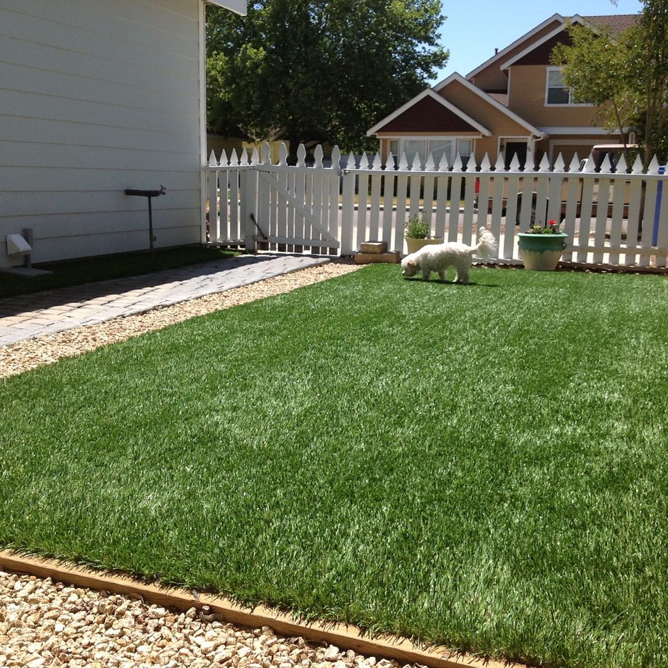 Artificial turf 43