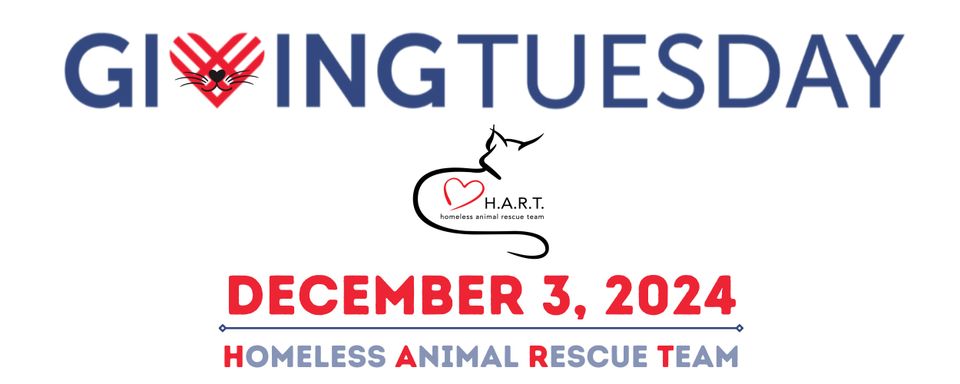 Giving tuesday (20 x 8 in)