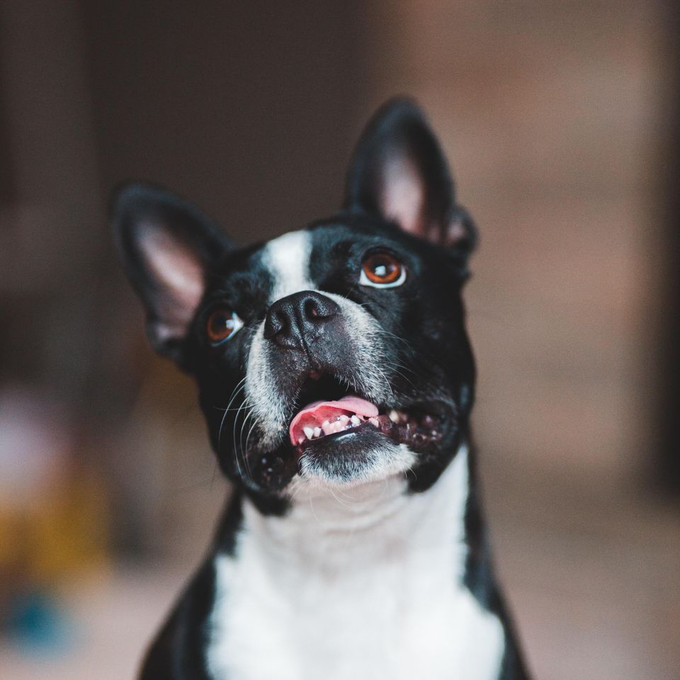 Erik mclean wygj ld8wv8 unsplash