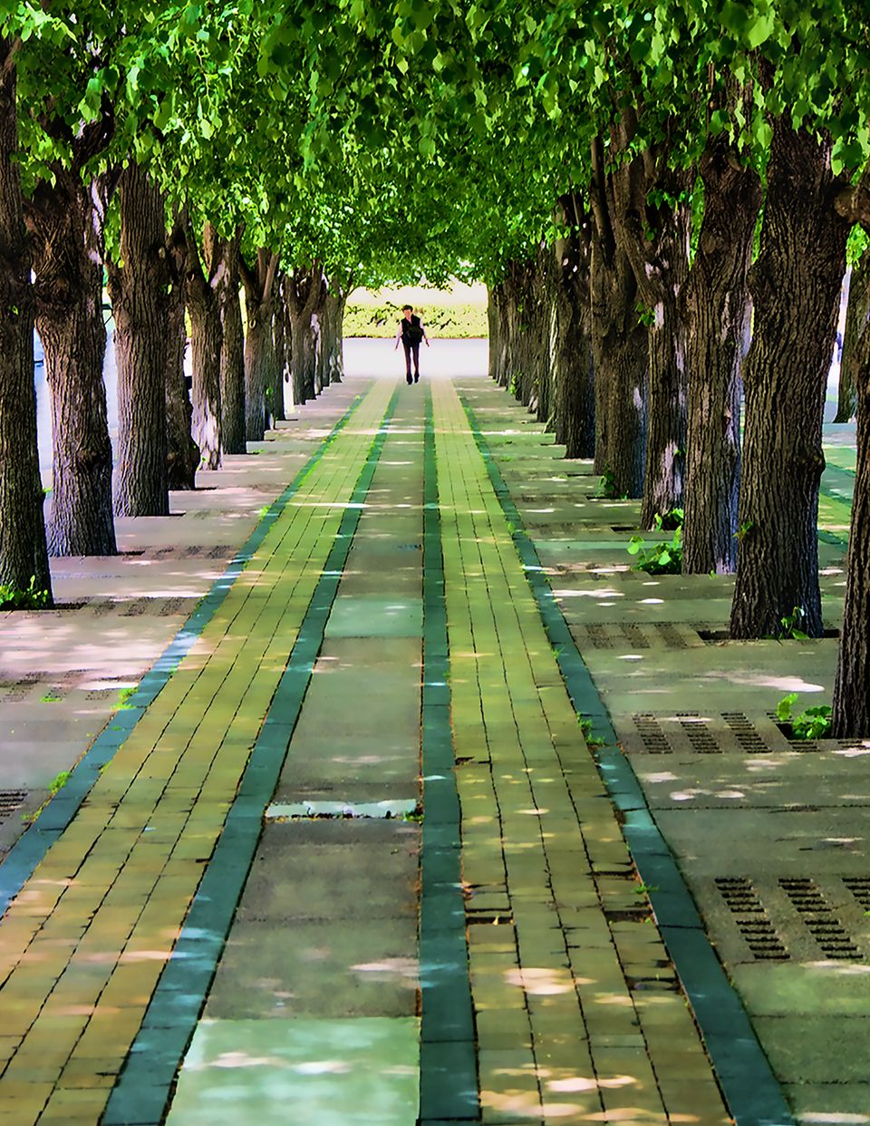 Julie lheureux boston walkway photograph