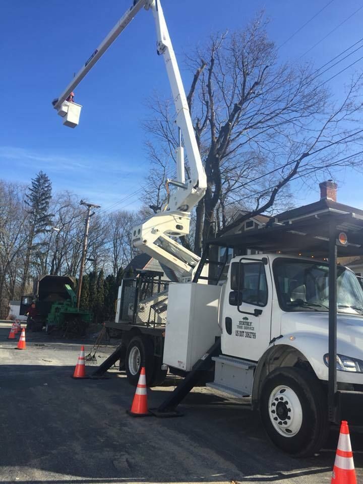 51187667 2096820573732070 5980938179555885056 n