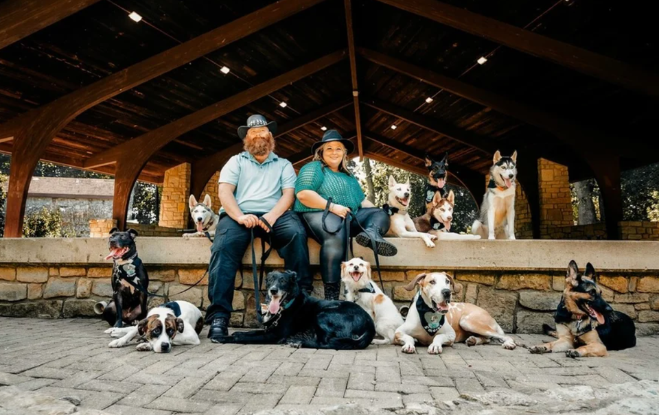 Clever canine academy3