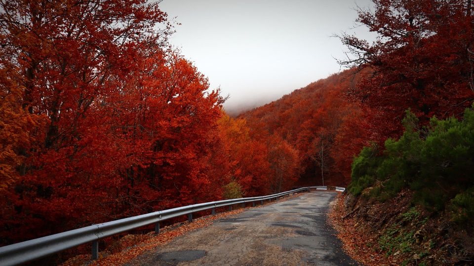 Road g8b7ec4dcb 1920