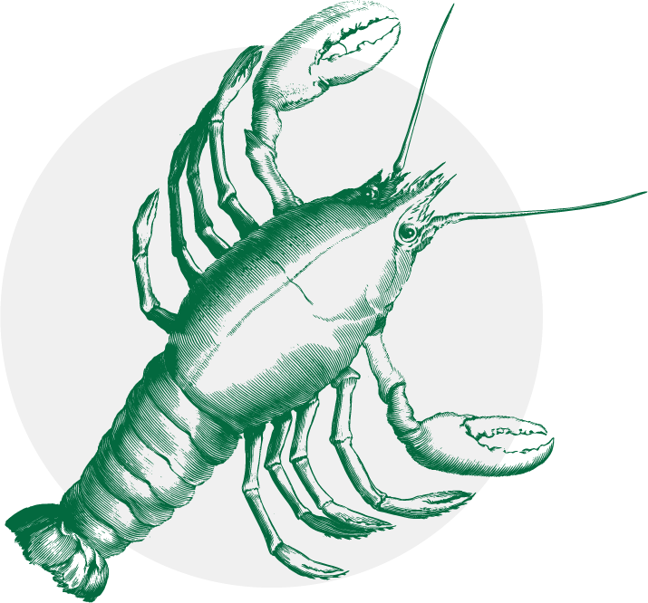 Lobster extras