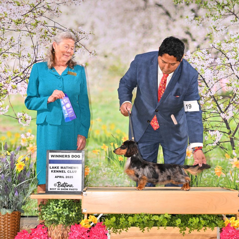 Bis 2185© 041825 dachs l wd