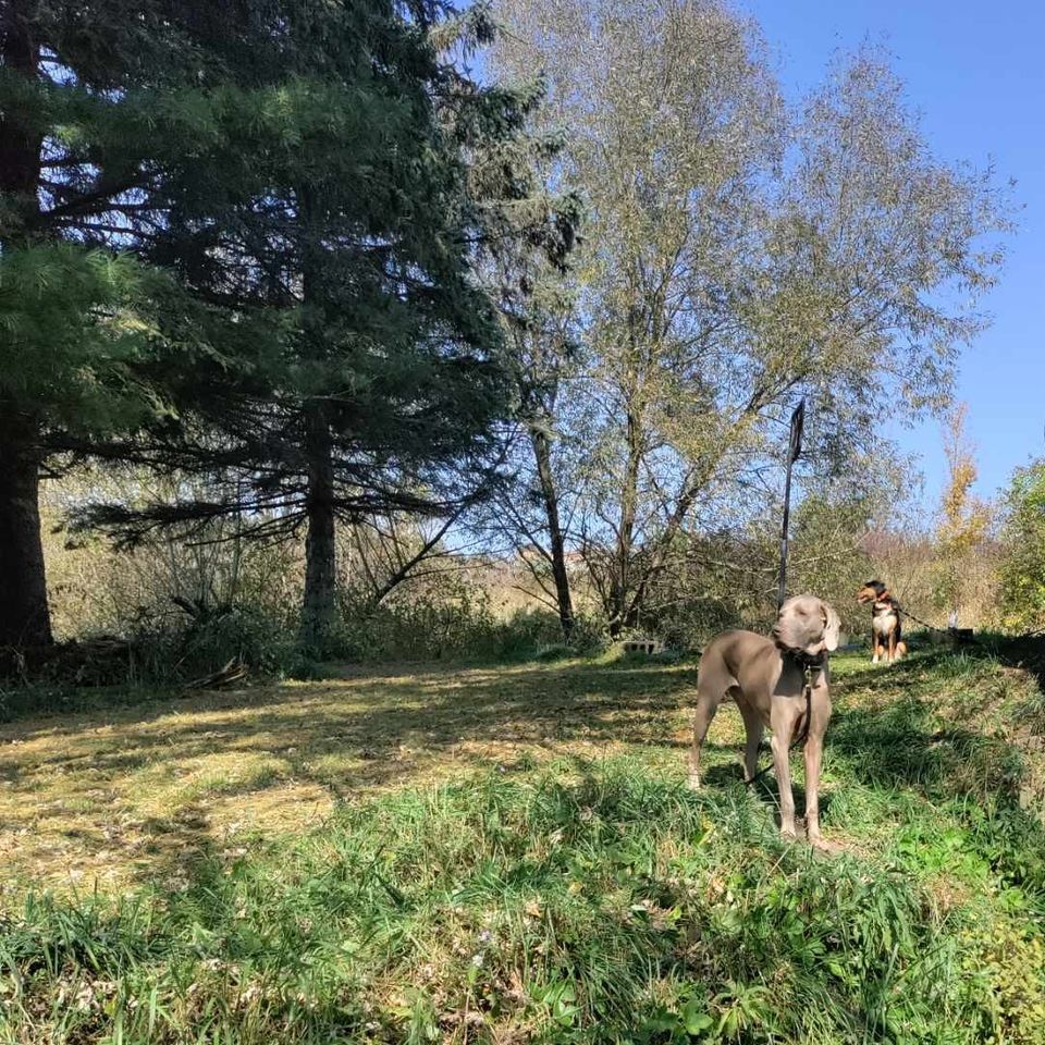 Received 1343507569961482 2