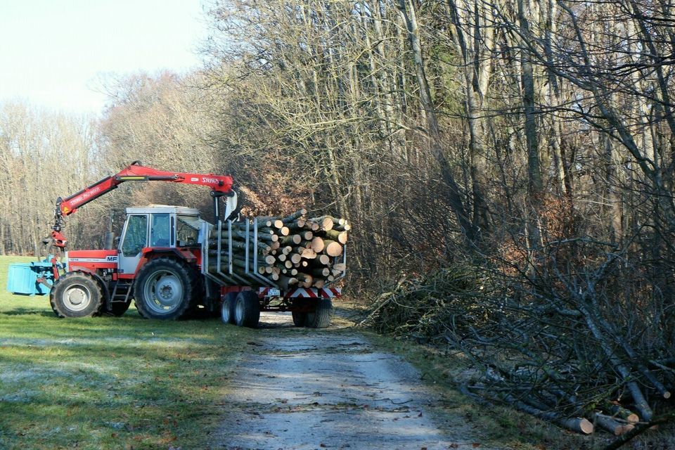 Tractor tractors forest log trailer wood means of transport traffic vehicle 996478