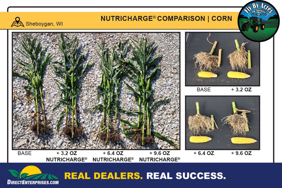 Fly by storyboards 20251230 4