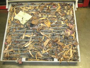 Dirty Air? Dirty cabin air filter