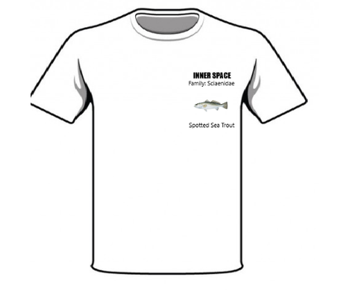 Screenshot 2025 10 27 090315