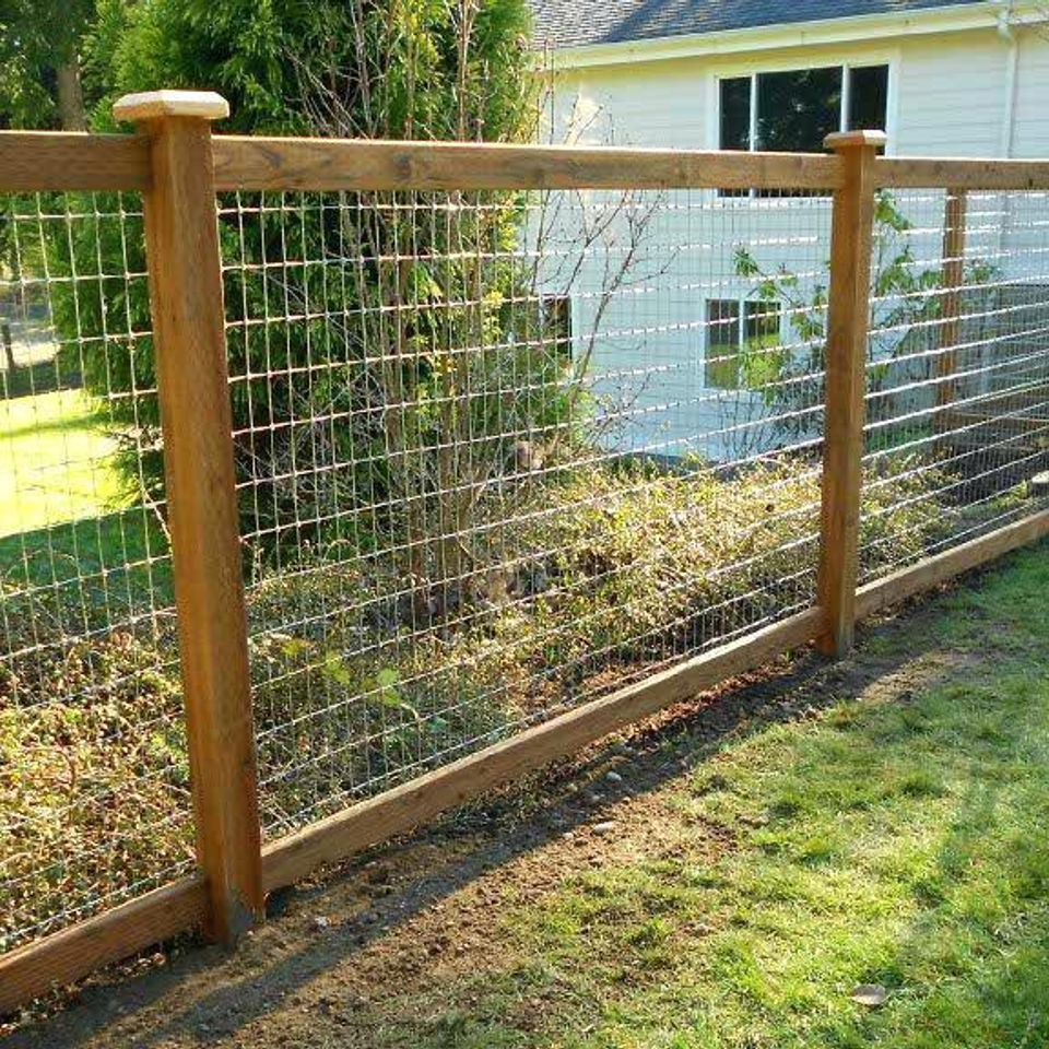 Garden fence
