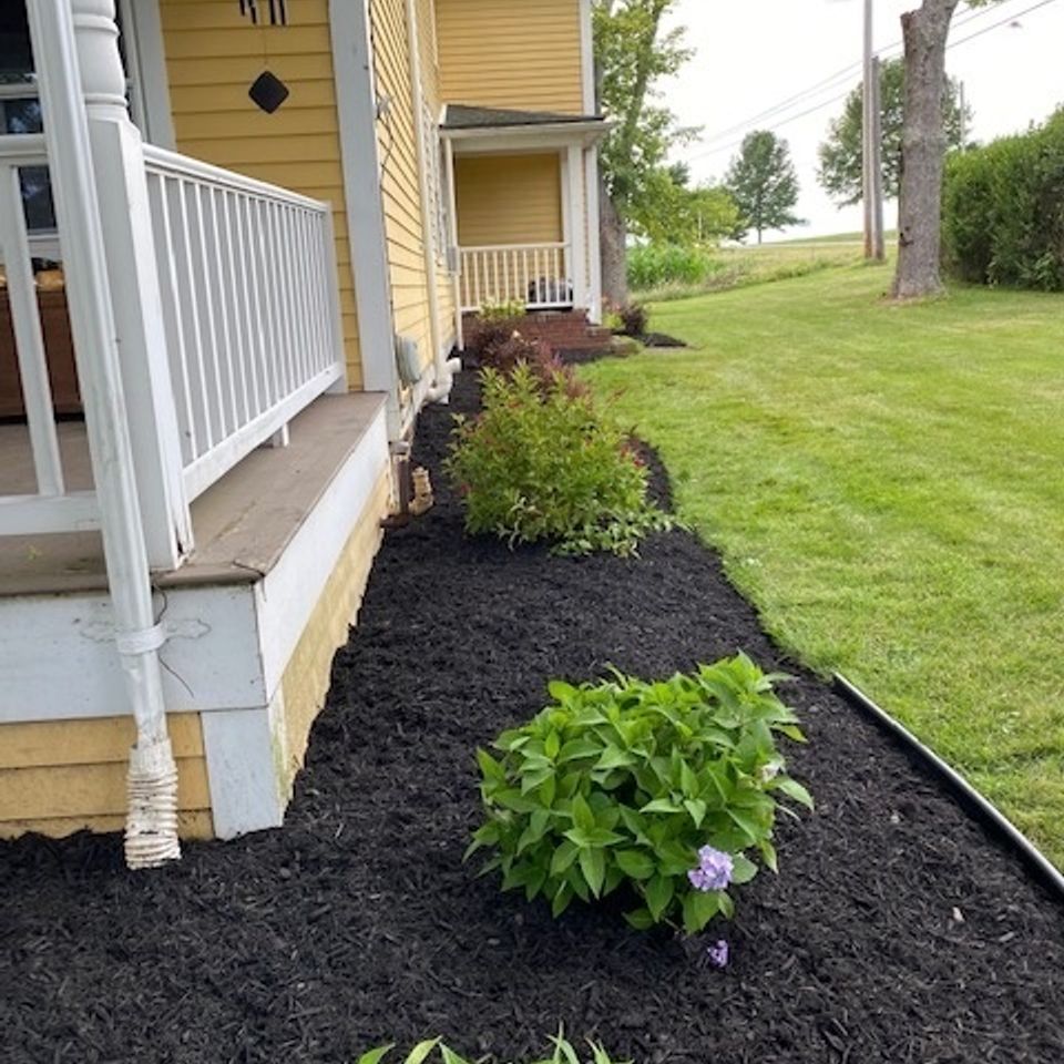 Image020