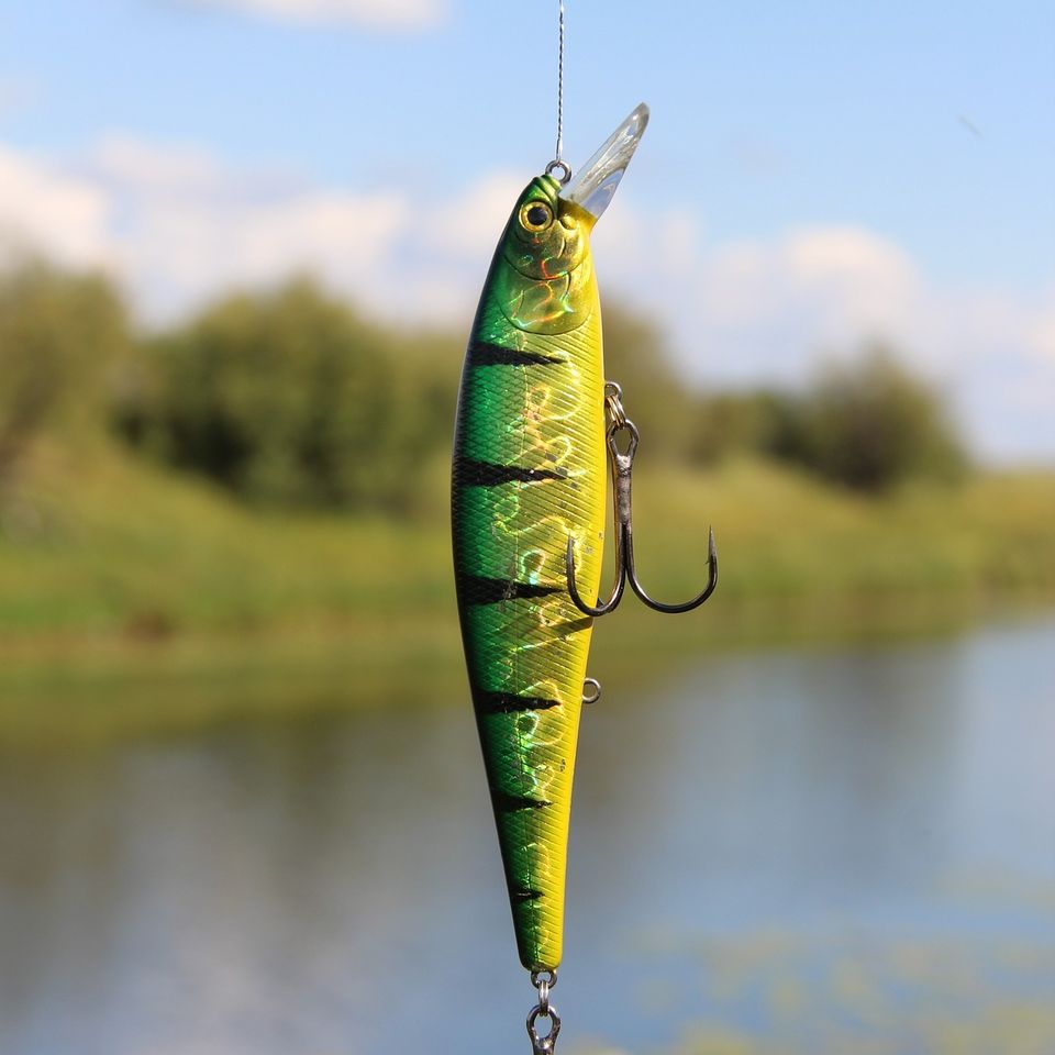 Fish gbb053a92f 1920