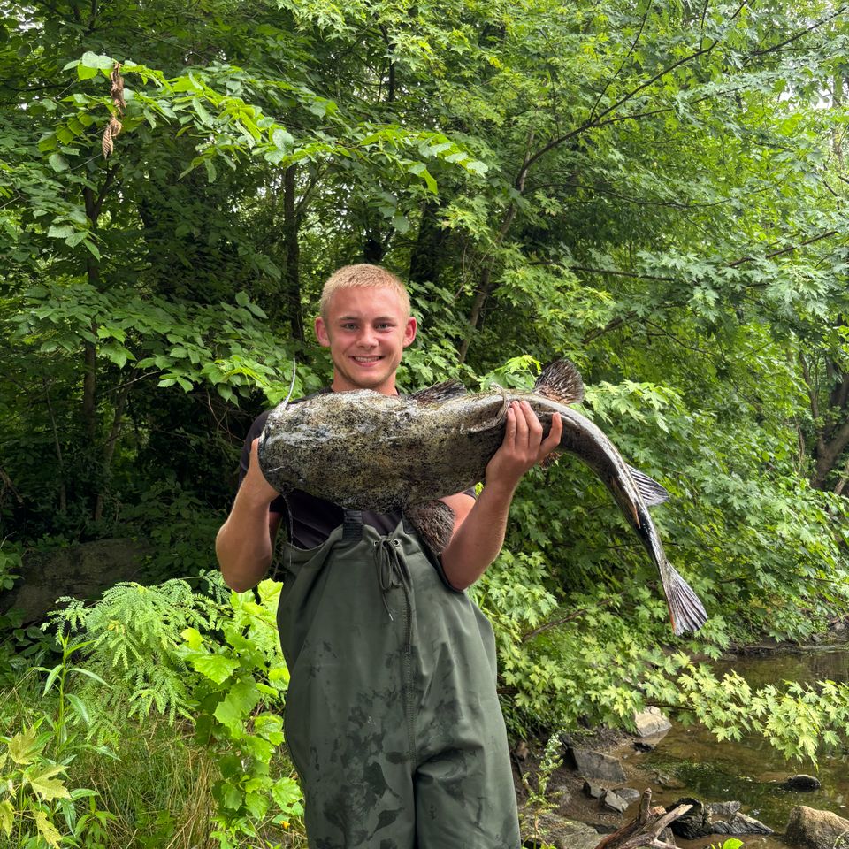 Sixteen-year-old Jaron Shellenberger, of Mount Joy,  sight-casted this 38” Flathead Catfish in the Conestoga River.