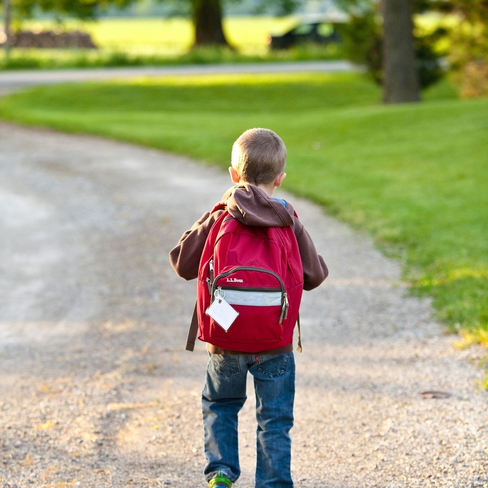 School g83729273f 1920