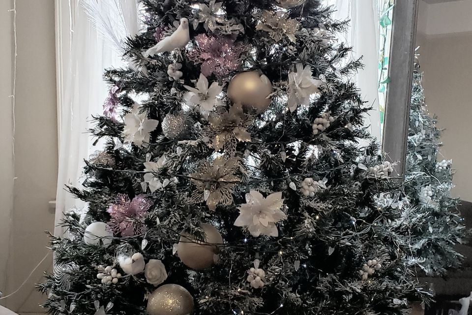 Resized 20251226 193849