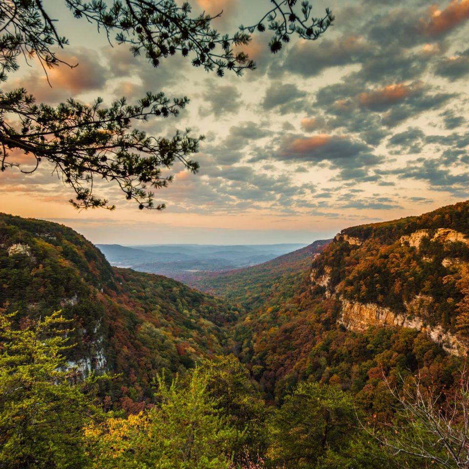 Cloudland canyon