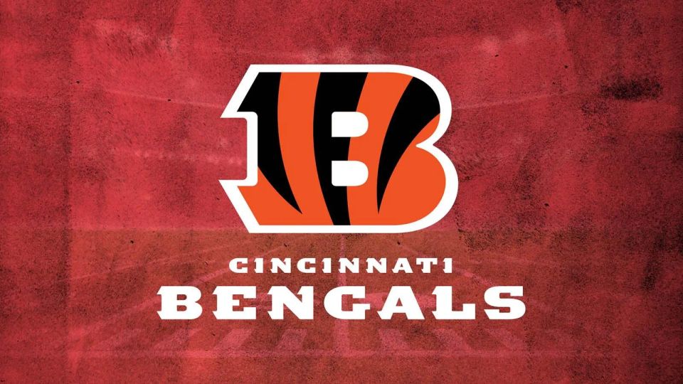 Nfl bengals