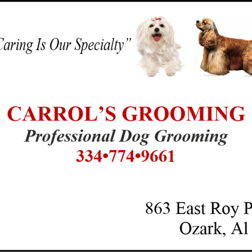Carroll's groom20150519 13019 jdfvbb