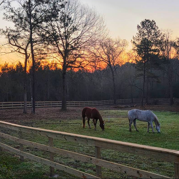 3 rail corral fence