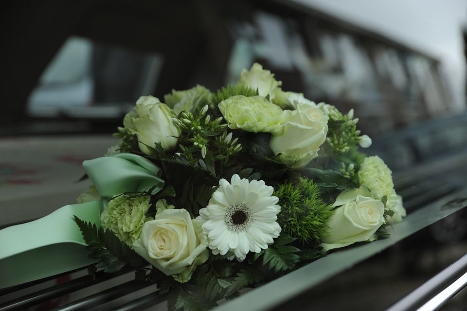 Flowers 52e8d64a49 1920