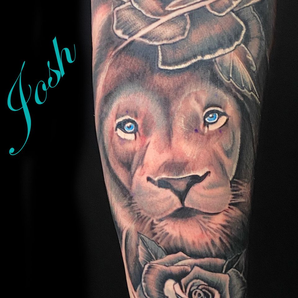 Josh lion rose