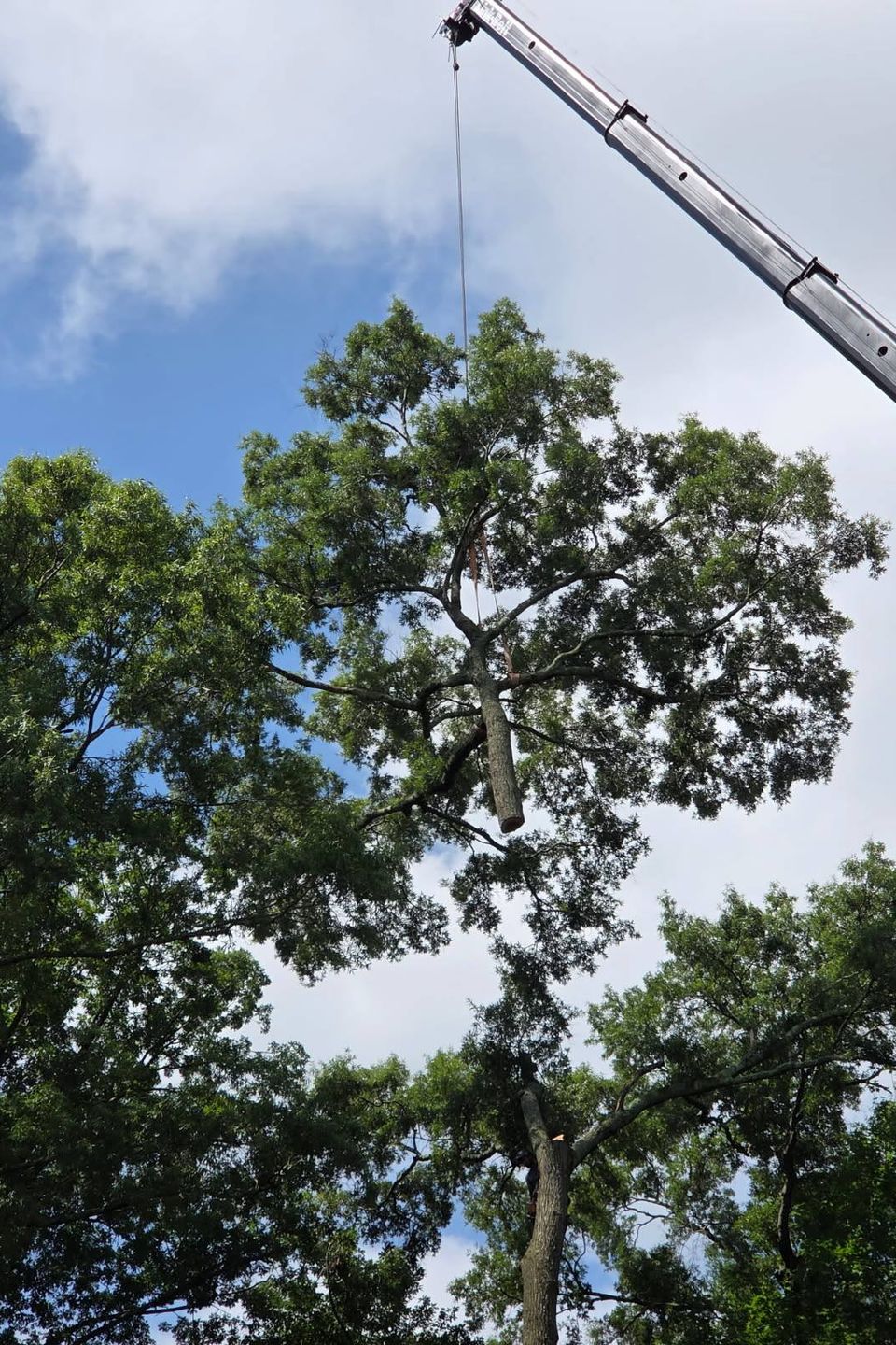 507779035 1121984526615053 8926881820327456609 n