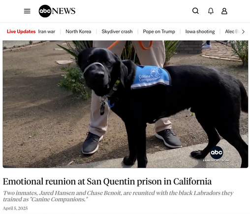 Abc world news screenshot