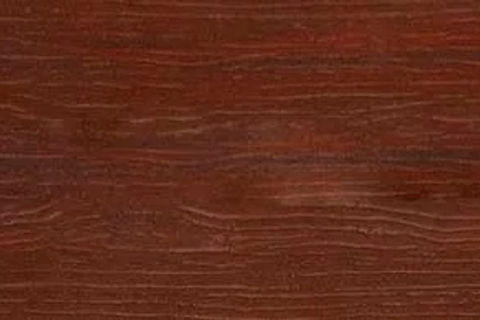 Wd06 58380