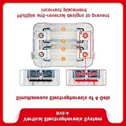 Vertical electrophoresis system be bve 4 2