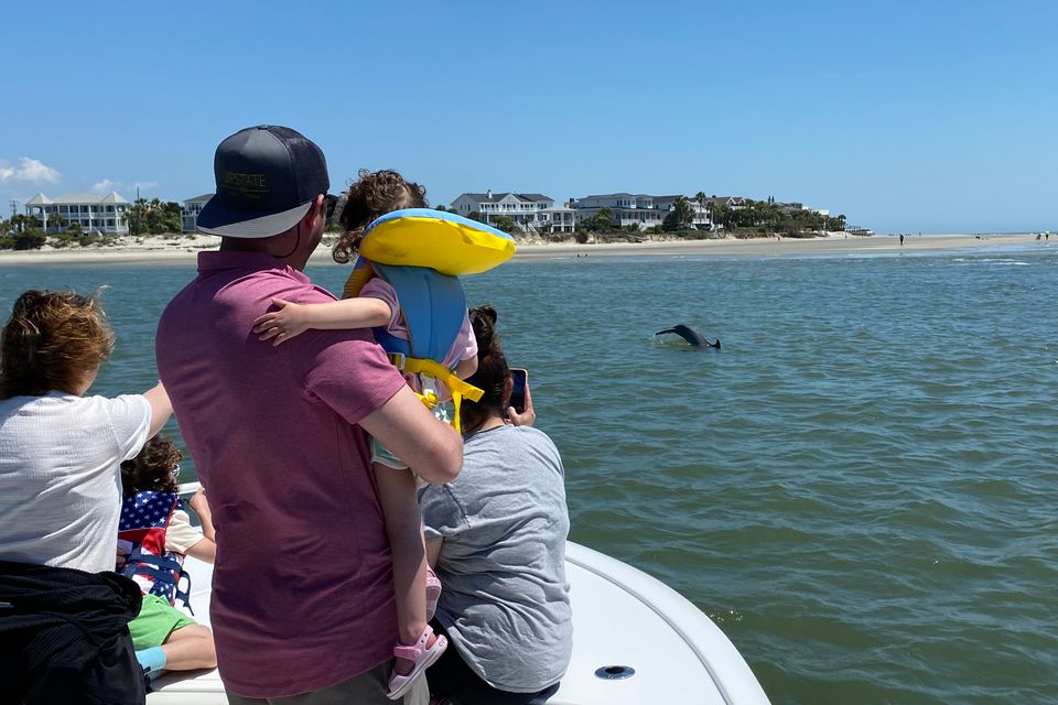Dolphin tour2