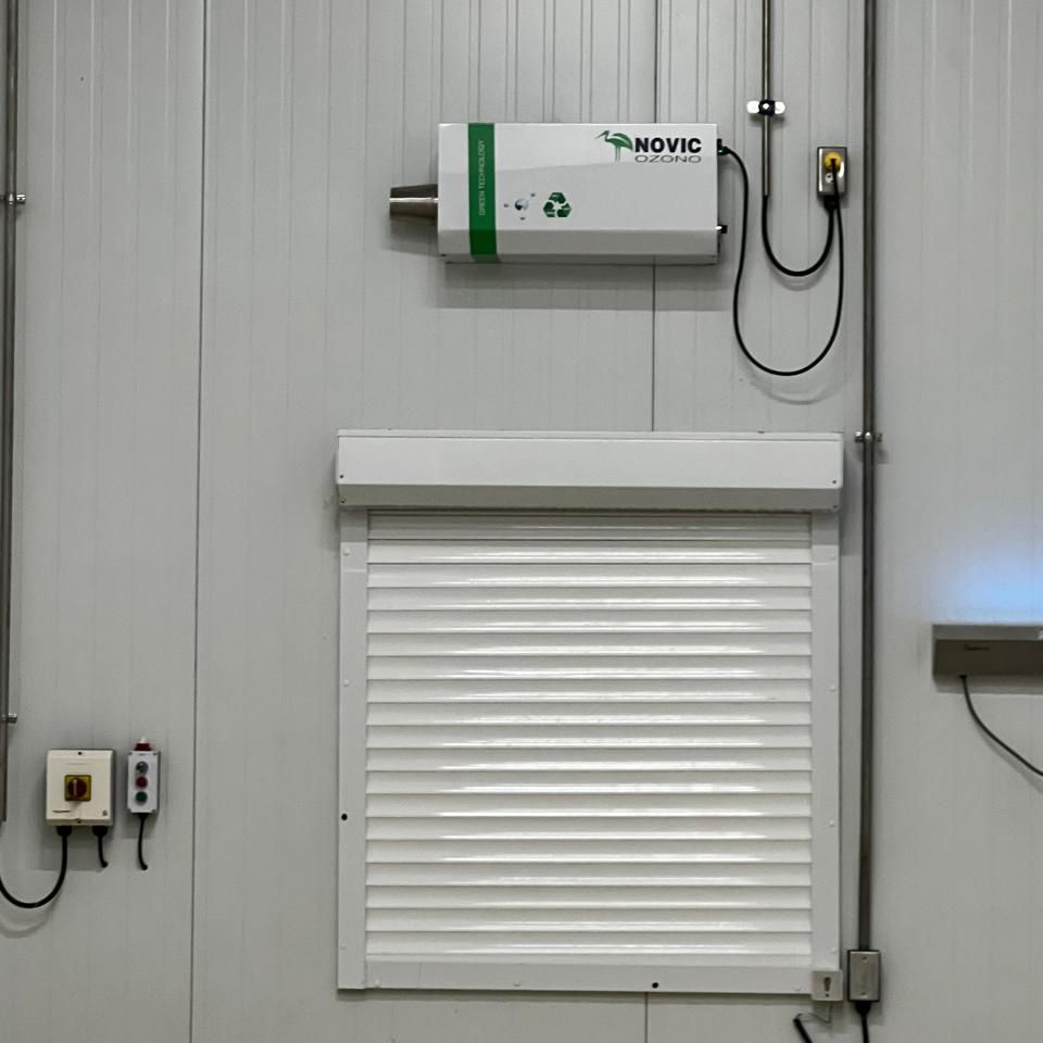 Whatsapp image 2025 11 05 at 11.46.39 (3)